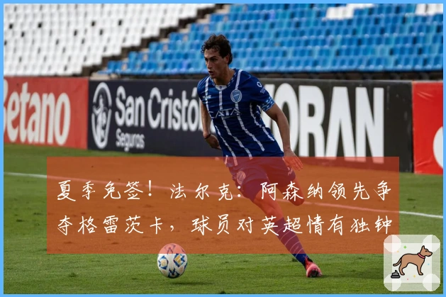 夏季免签！法尔克：阿森纳领先争夺格雷茨卡，球员对英超情有独钟