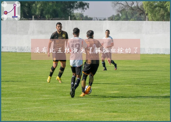没有比五粮液更了解脑血栓的了