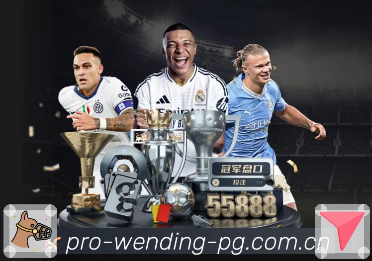 体育平台欢迎图